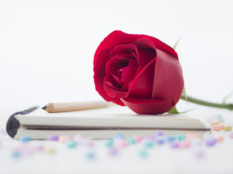 Celebran en Palma Soriano Día del Educador Cubano