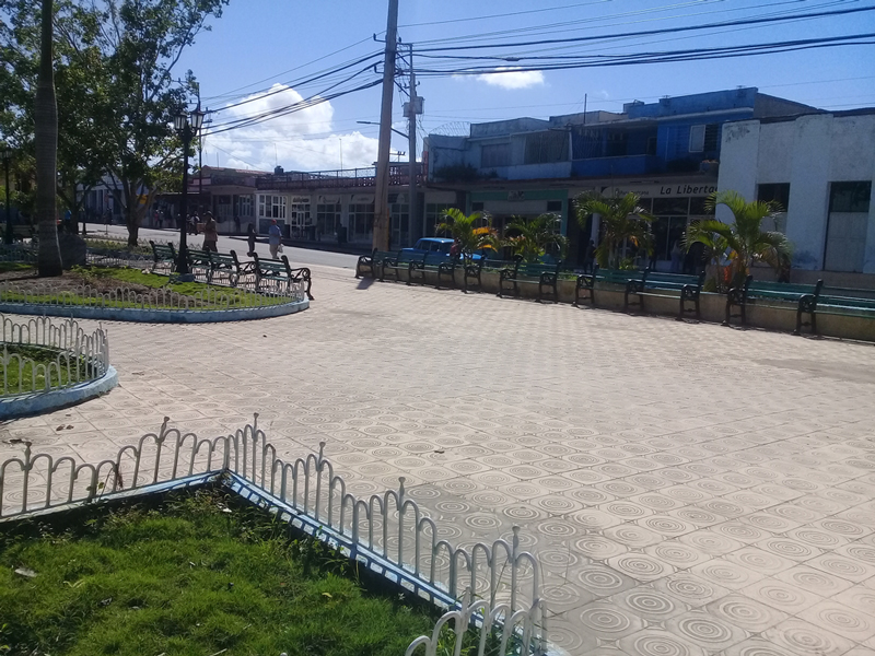 El espíritu de los palmeros se reafirma ante las dificultades, ¡seguir adelante prevalece!