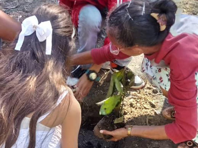 Realizan en Palma Soriano siembra de postura de árbol de Caguairán saludo al Centenario del natalicio de Fidel