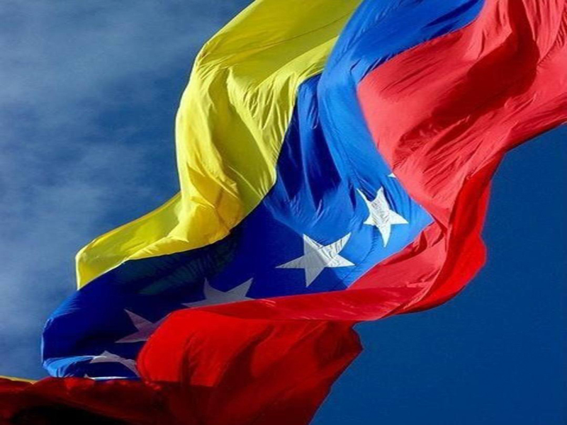 Trabajadores de la Educación palmera apoyan la causa del pueblo venezolano