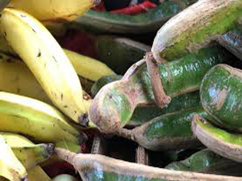 Ferias agropecuarias en Palma Soriano: un dilema entre la opción y decepción