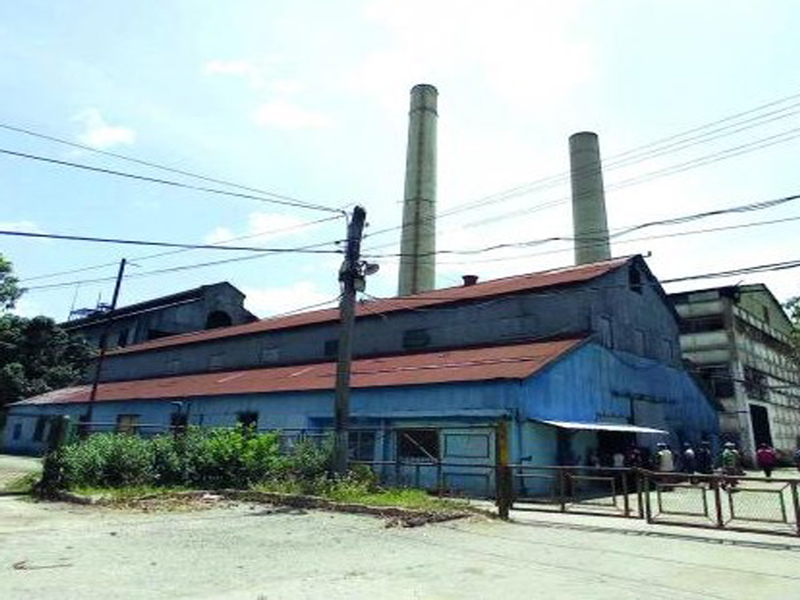 Pese a los hoy embates socioeconómicos, Palma Soriano es un territorio con tradición azucarera