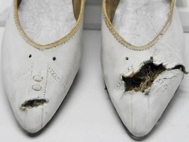 “Elegía de los Zapaticos Blancos”: una historia real de los días de Girón